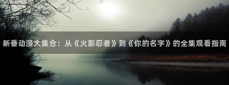 韩国漫画网：新番动漫大集合：从《火影忍者》到《你的名字》的全集观看指南配图