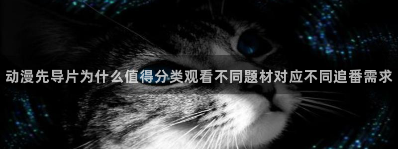 韩漫漫画网页版:动漫先导片为什么值得分类观看不同题材对应不同追番需求配图