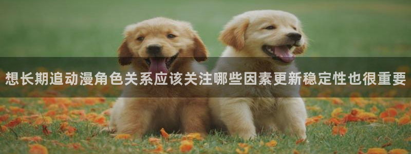韩漫漫画更新网站:想长期追动漫角色关系应该关注哪些因素更新稳定性也很重要配图