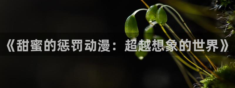 韩漫漫画中文版在线:《甜蜜的惩罚动漫:超越想象的世界》配图