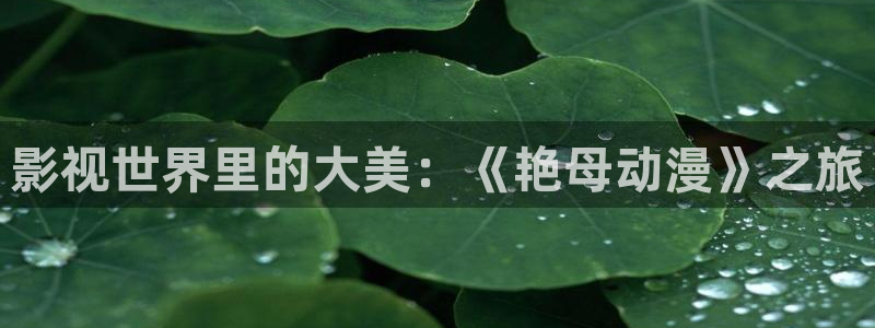 免费韩漫漫画:影视世界里的大美:《艳母动漫》之旅配图