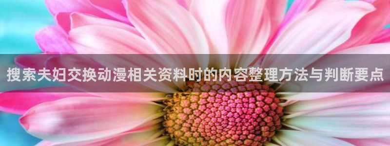 韩漫经典漫画:搜索夫妇交换动漫相关资料时的内容整理方法与判断要点配图
